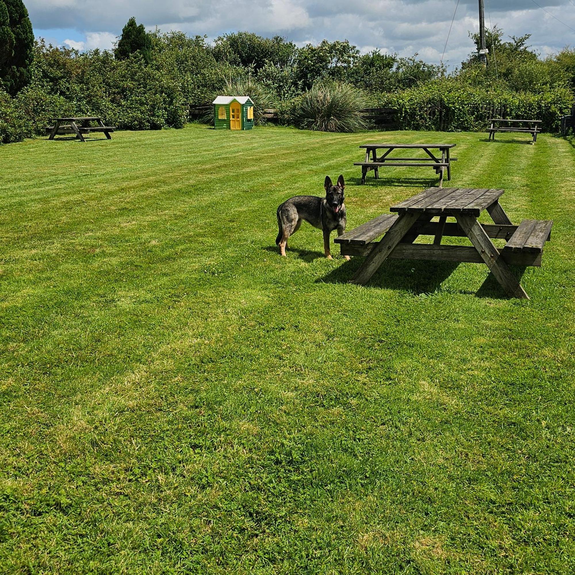The West Country Inn Clovelly Esterno foto